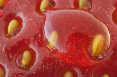 güzel çilek arka plan