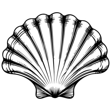 El yapımı deniz tarağı kabuğu tasarımı okyanus aşıkları için mükemmel.