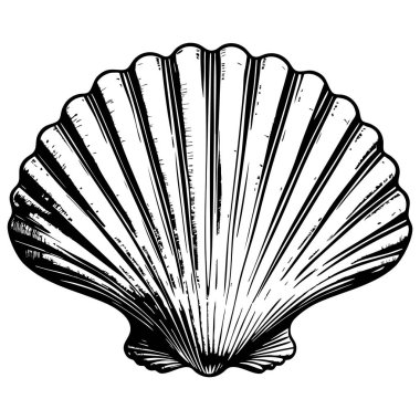 Klasik kabuk çizimi, deniz ve sahil tasarımı temaları için mükemmel.