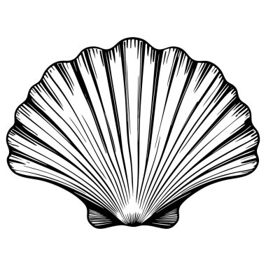 Sade deniz kabuğu ana hatları plaj ve okyanus temalı renkler için mükemmel.