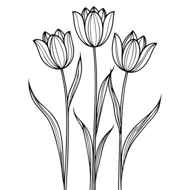 Üç lale çiçeği her yaş için zarif renklendirme sayfasında duruyor.