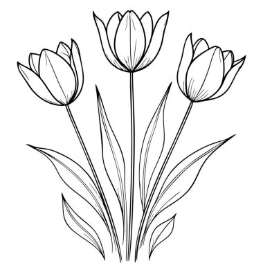 Uzun yapraklı güzel lale çiçekleri çocuklar ve yetişkinler için mükemmel renklendirme aktiviteleri