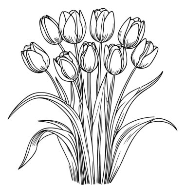 Renkli sayfalar ve çiçekli sanat projeleri için harika bir lale deseni.