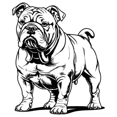 Boyama ve sanat eğlencesi için harika bir poz.