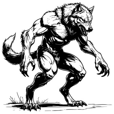 Genç ve yetişkinler için renklendirme sayfasına saldırmaya hazır vahşi kaslı kurt adam.