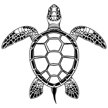 Renkli sayfalar, yaratıcı rahatlama ve basılabilir deniz sanatları projeleri için tasarlanmış zarif deniz kaplumbağası resmi.