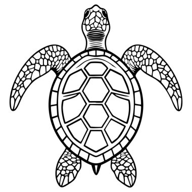 Dekoratif kabuk desenli simetrik deniz kaplumbağası çizgisi. Resim kitapları ve yaratıcı projeler için tasarlanmış.