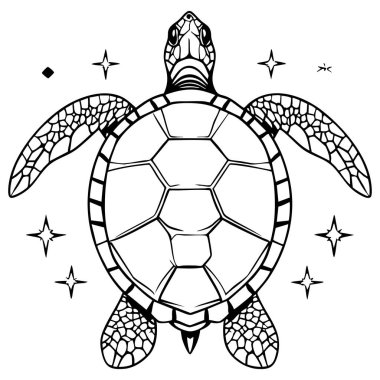 Renkli kitaplar basılabilir çalışma kağıtları ve yaratıcı aktiviteler için dizayn edilmiş yıldız elementleriyle sanatsal deniz kaplumbağası ana hatları