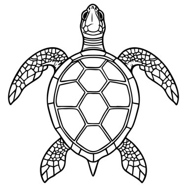 Renkli kitaplar basılabilir çalışma kağıtları ve rahatlatıcı yaratıcı projeler için zarif deniz kaplumbağası siyah-beyaz taslak çizimi