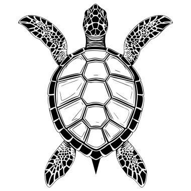 Siyah beyaz simetrik deniz kaplumbağası çizimi. Renklendirme ve tasarım için uygun detaylı kabuk deseni var.
