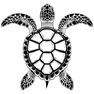Renklendirme için temiz kabuk şekilli kalın siyah beyaz çizgilerle simetrik deniz kaplumbağası çizimi