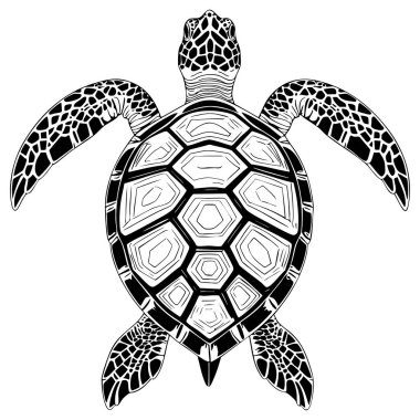Siyah ve beyaz deniz kaplumbağası çizimi yukarıdan bakıldığında kabuk deseni boyama sayfaları ve deniz sanatı için idealdir.