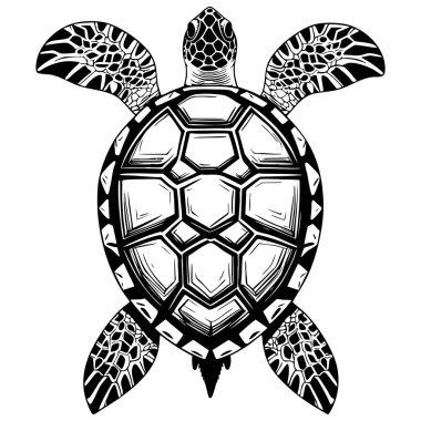 Gelişmiş renklendirme sayfaları için mükemmel desenli kabuk ve yüzgeçleri gösteren yüksek detay siyah ve beyaz deniz kaplumbağası çizimi