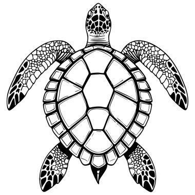 Gelişmiş renklendirme için siyah beyaz kabuklu ve desenli yüzgeçli oldukça detaylı deniz kaplumbağası çizimi