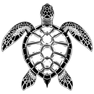 Detaylı siyah-beyaz deniz kaplumbağası desenli kabuklu ve yüzgeçleri gelişmiş renkler için güçlü çizgilerle çizilmiş.