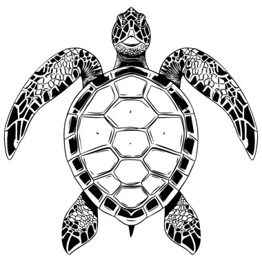 Dengeli simetri ve boyama sayfaları için tasarlanmış pürüzsüz kabuk panelleri ile siyah ve beyaz deniz kaplumbağası çizimi