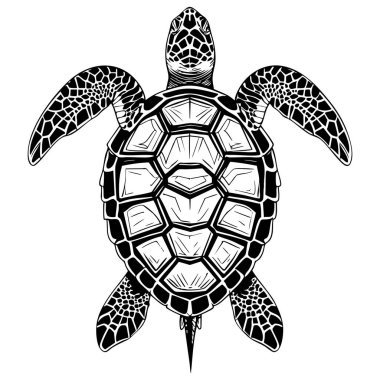 Ayrıntılı üst görünüm deniz kaplumbağası koyu siyah beyaz çizgiler ve desenli kabuk renklendirme kullanımı için çizilmiş