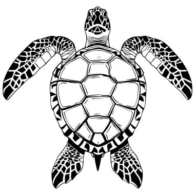 Pürüzsüz kabuk şekilleri ve boyama kitapları için mükemmel en az detayı olan temiz siyah ve beyaz deniz kaplumbağası çizimi