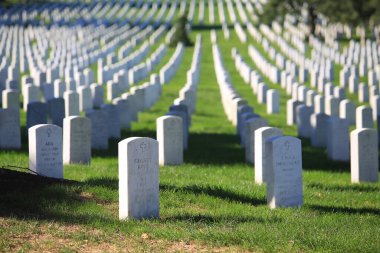 Washington 'da bir mezarlık.