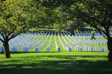 Washington 'da bir mezarlık.