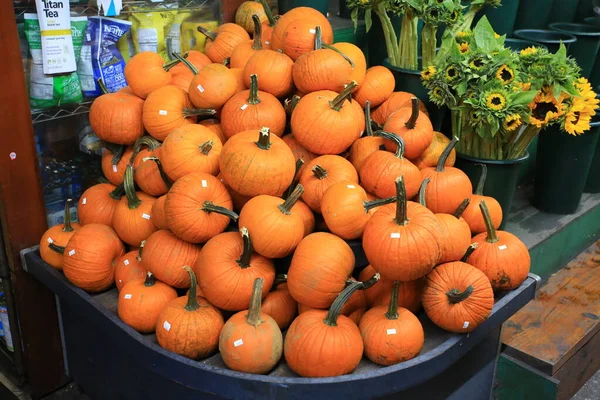 Pumpkins Market Close — Stock Photo, Image