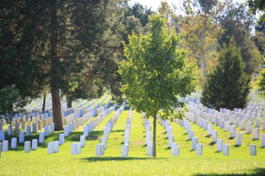 Mezarlıkta mezar taşları
