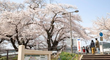  Kaohsiung, Tayvan 9 Eylül 2025: İlkbahar ve Sonbahar Pavilionları, Kaohsiung 'un Zuoying İlçesi' nde bulunan Taoist bir tapınak kompleksi.