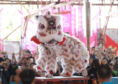 Hong Kong, 20 Aralık 2025: Hong Kong Kam teneke köyünde aslan dansı Şükran Günü ritüeli ya da Kam Tin Heung Grateful Worship Ritüeli, Çin 'de yeni yıl kutlaması sırasında aslan dansı yapılır.