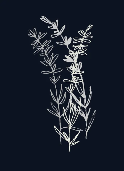 Plante à fleurs lavande. Illustration vectorielle monochrome — Image vectorielle