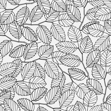 Yüzey tasarımı ve diğer tasarım projeleri için karaağaç dalları ve yaprakları ile kusursuz desen