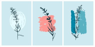 Dekoratif basılabilir sanat. Ev iç tasarımı için soyut arkaplanlar üzerine el çizimi lavanta vektör çizimleri