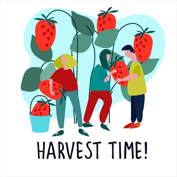 Femmes cueillant des fraises illustration vectorielle dans un style plat. Citation du temps de récolte. Récolte, concept d'agrotourisme — Image vectorielle