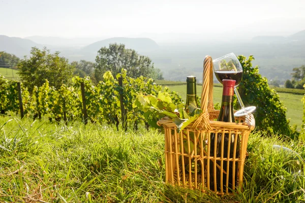 Košík láhve a sklenky vína vinicích — Stock fotografie
