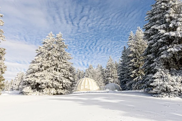 Winterlandschap met hutten — Stockfoto