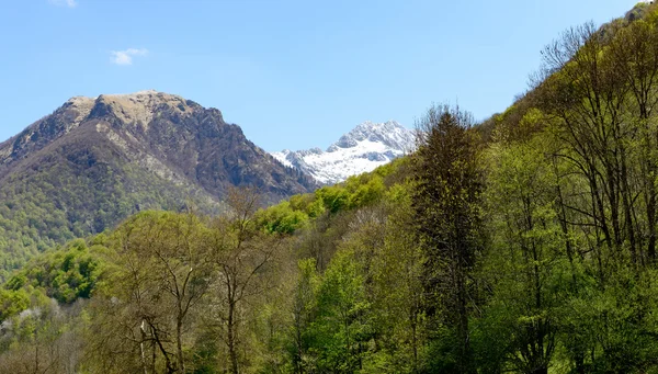 Dağ manzarası, Pyrenees, Fransa — Stok fotoğraf