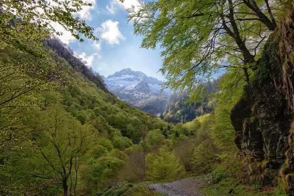 Dağ manzarası, Pyrenees, Fransa — Stok fotoğraf