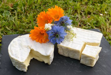 Normandie French cheese on a plate with flowers clipart