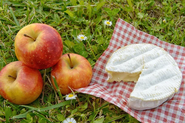 Camembert mit Äpfeln auf Gras — Stockfoto