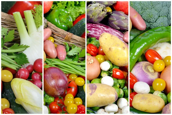 Several vegetables market — Stock Photo, Image