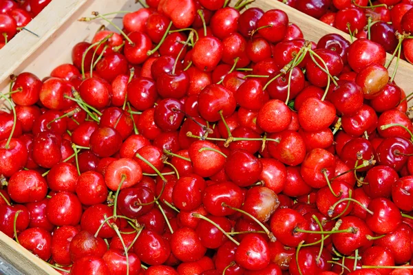 Czerwony cherries.in Skrzynka na francuski rynek — Zdjęcie stockowe