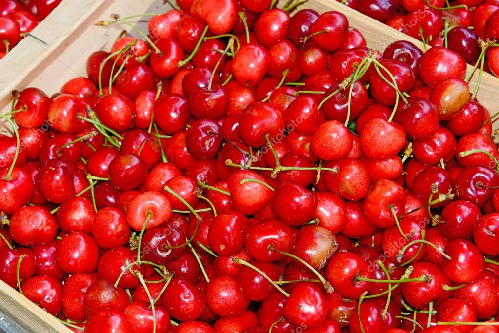 Red cherries.in crate on french market — Stock Photo © philipimage