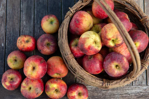 Καλάθι Φρέσκα Μήλα Στο Ξύλινο Τραπέζι Του Κήπου — Φωτογραφία Αρχείου