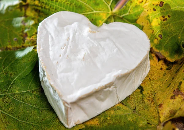 나뭇잎에는 프랑스어의 치즈가 하트를 만들었다 — 스톡 사진