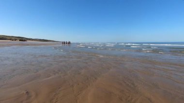 Sahilde at süren bir grup insan.