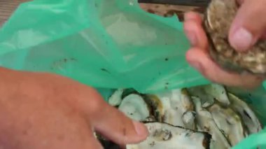 İstiridye kabuğunu bıçakla açan adama yaklaş. 