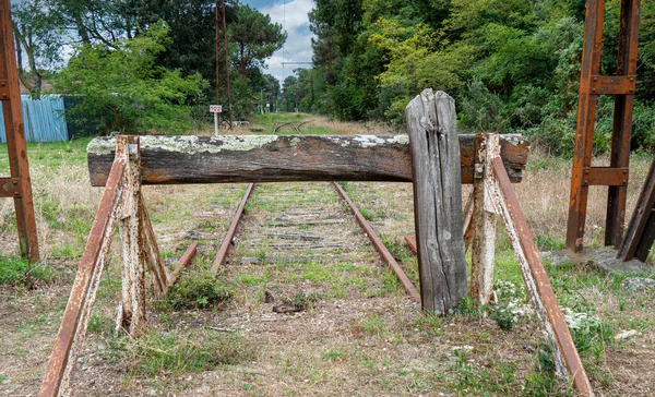 Verlaten Spoorweg Begroeid Met Gras — Stockfoto