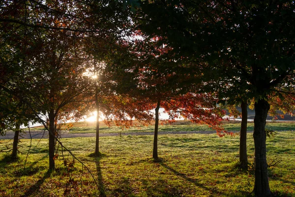 Autumn Season French Countryside — Stock Photo, Image