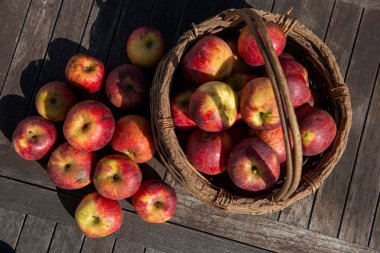 Bahçedeki ahşap masada bir sepet taze elma