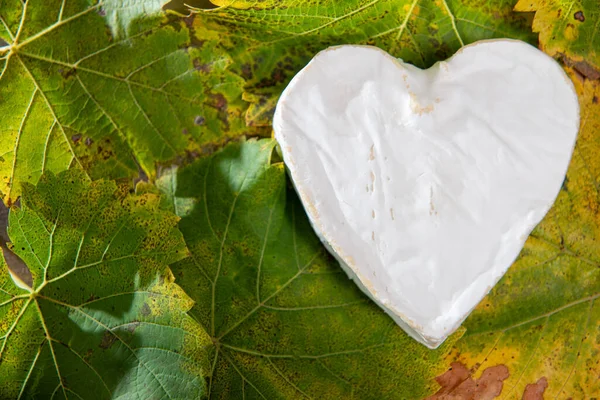 French Neufchatel Cheese Shaped Heart Autumn Leaves — Stock Photo, Image