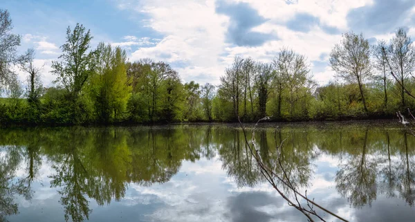 春の池の眺め — ストック写真